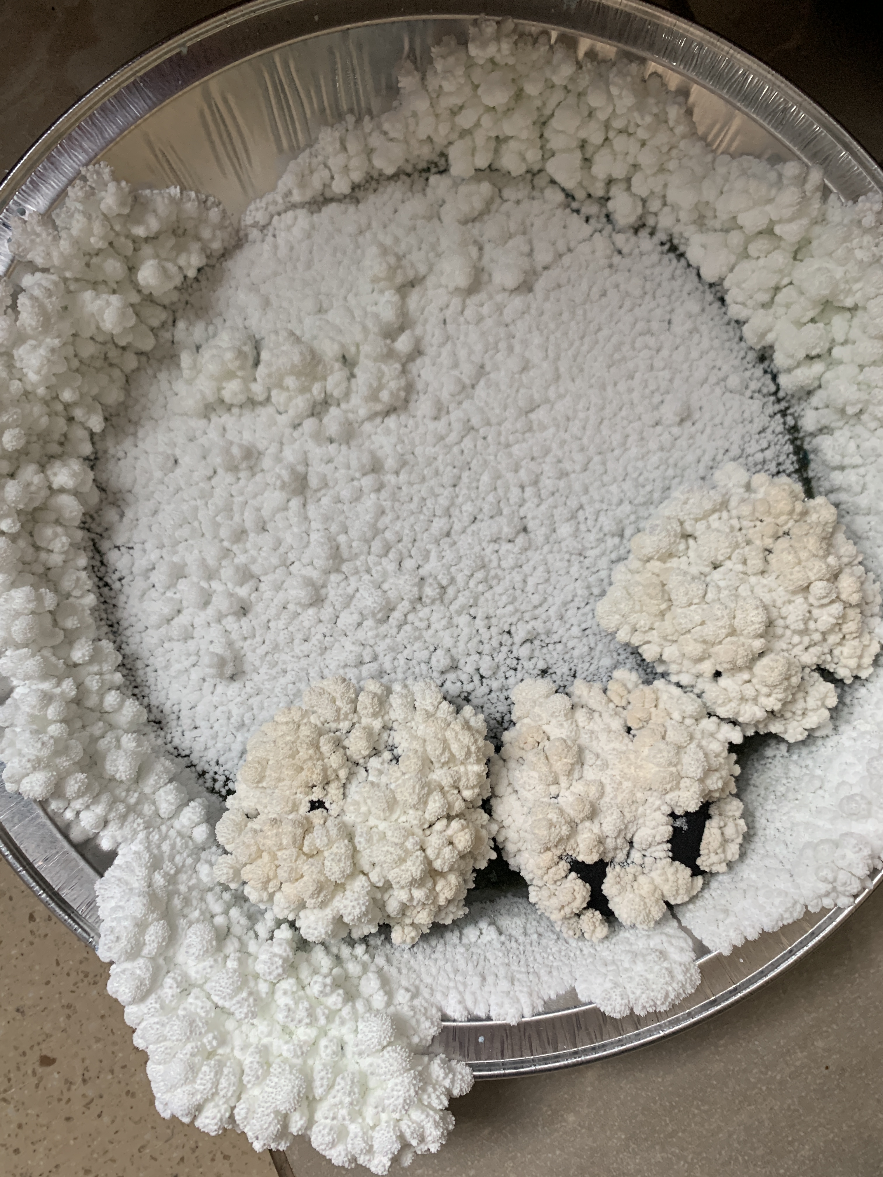 2A542B3D-38CE-4AD1-8FD2-88C886CB1E72